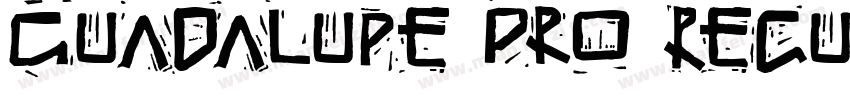 Guadalupe Pro Regula字体转换